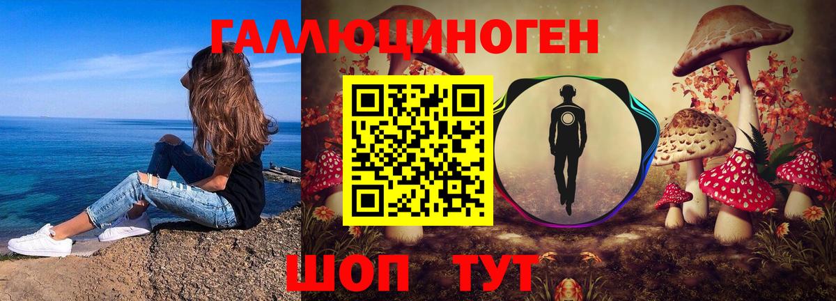 Псилоцибиновые грибы Psilocybe Котельники